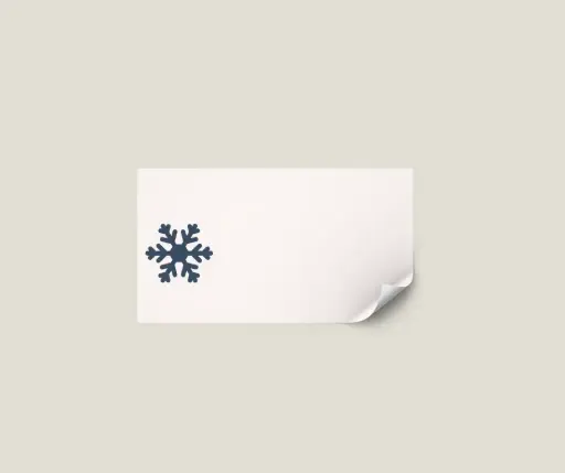 Adressticker 'sneeuwvlok' - vel van 24